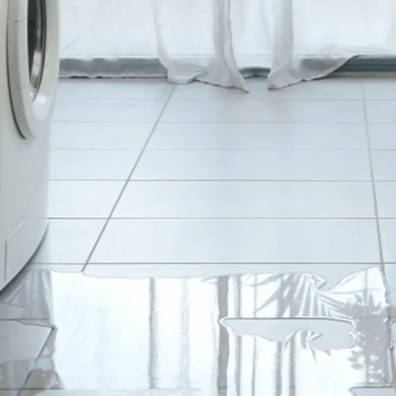 Appliance Leak Cleanup in Enfield, NH