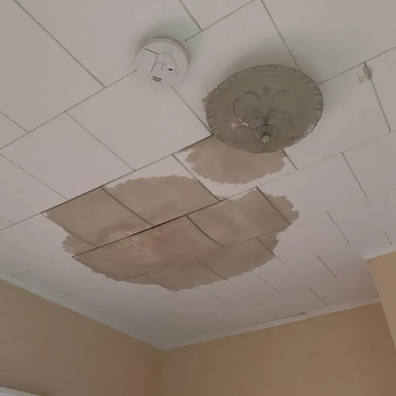 Ceiling Water Damage Repair in Enfield, NH