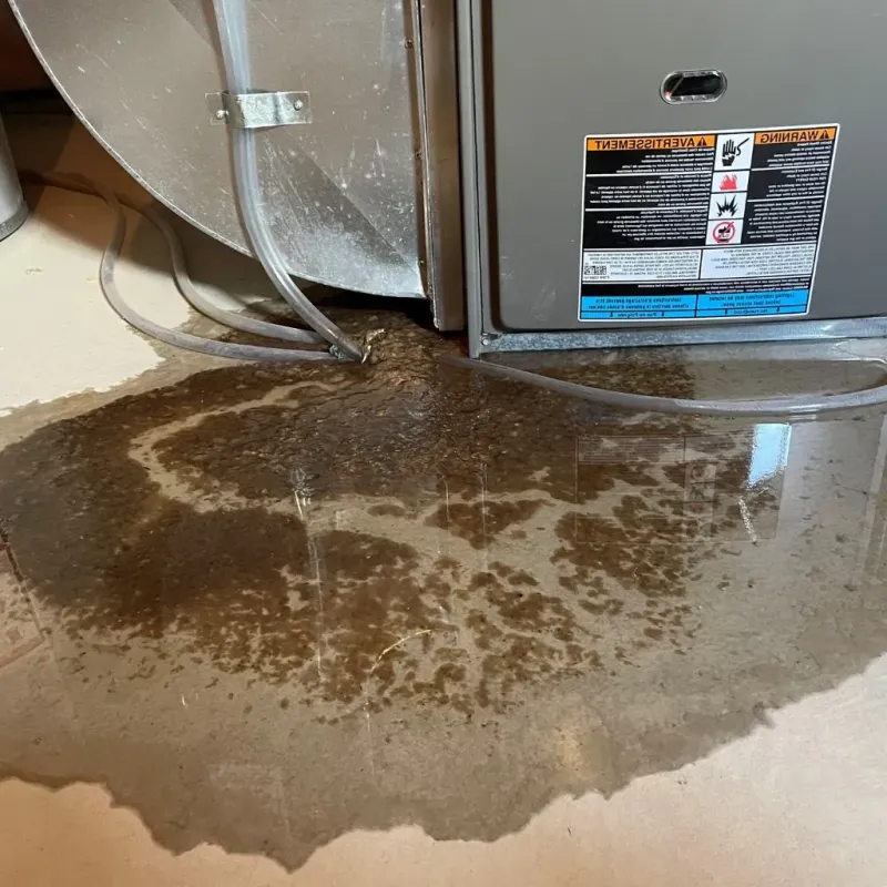 Pipe Burst and Leak Restoration in Enfield, NH