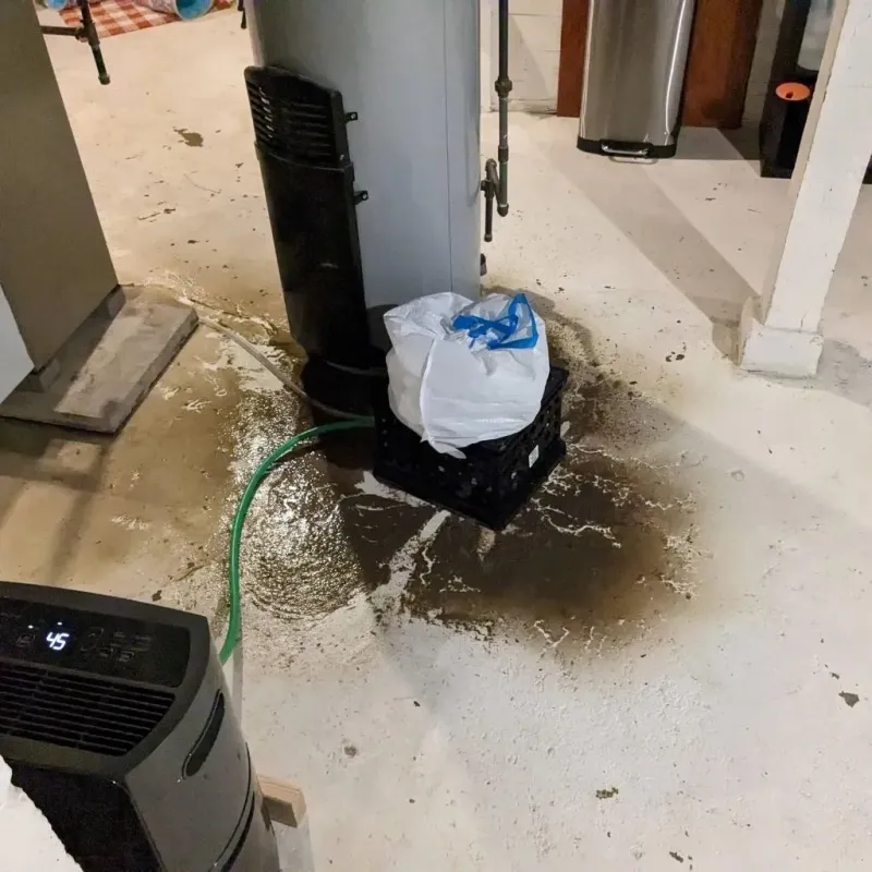 Sewage Backup Cleanup Service in Enfield, NH